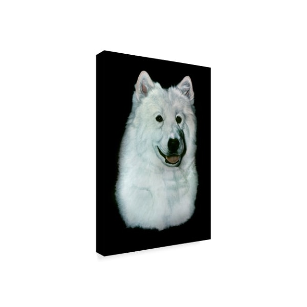 Rusty Frentner 'White Dog' Canvas Art,12x19